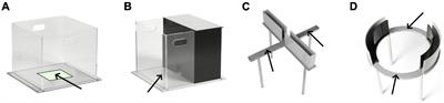 Measuring Anxiety-Like Behaviors in Rodent Models of Traumatic Brain Injury